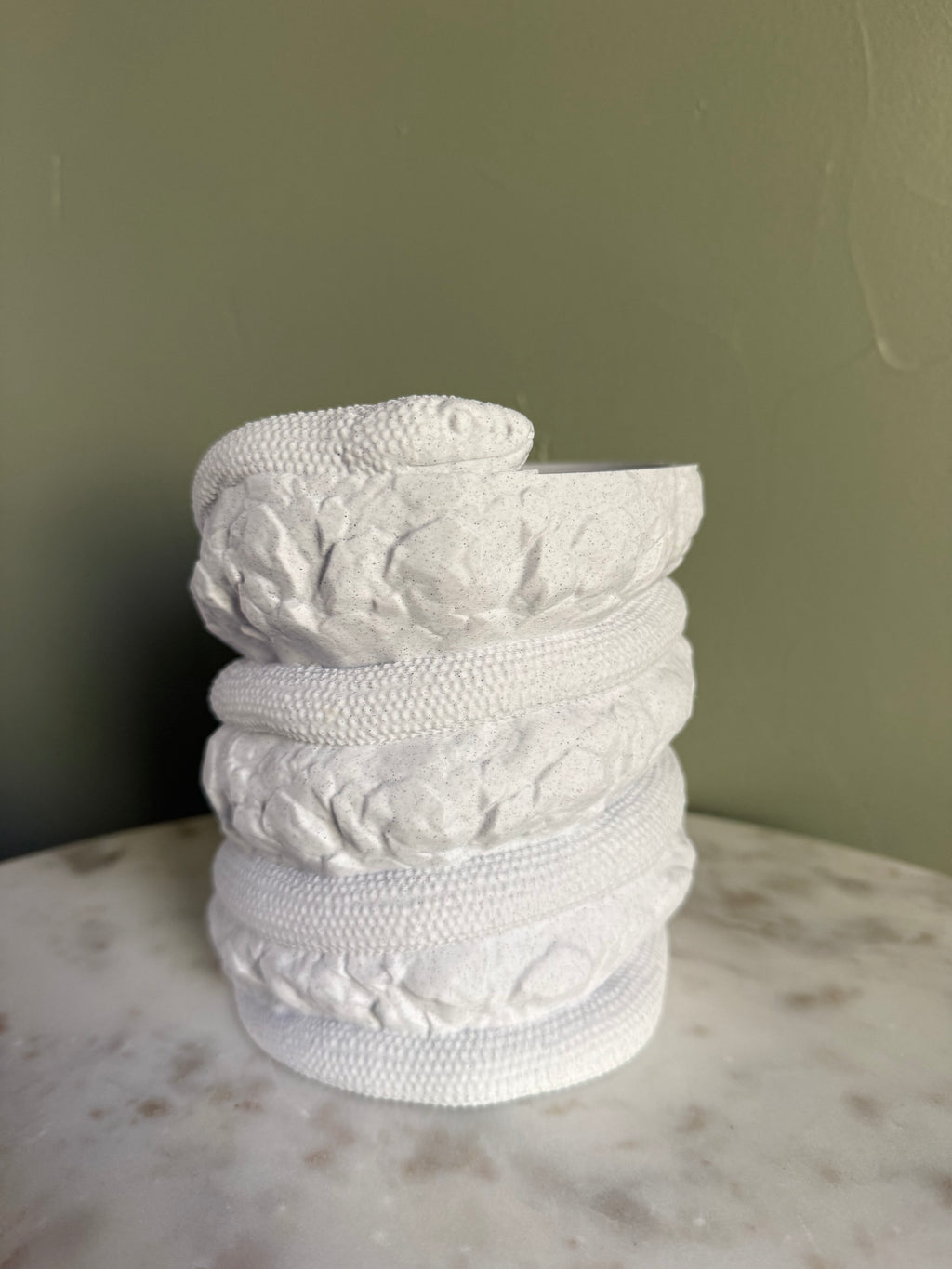 Snake Planter