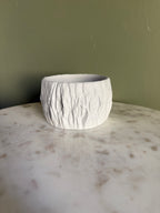 Rock Planter