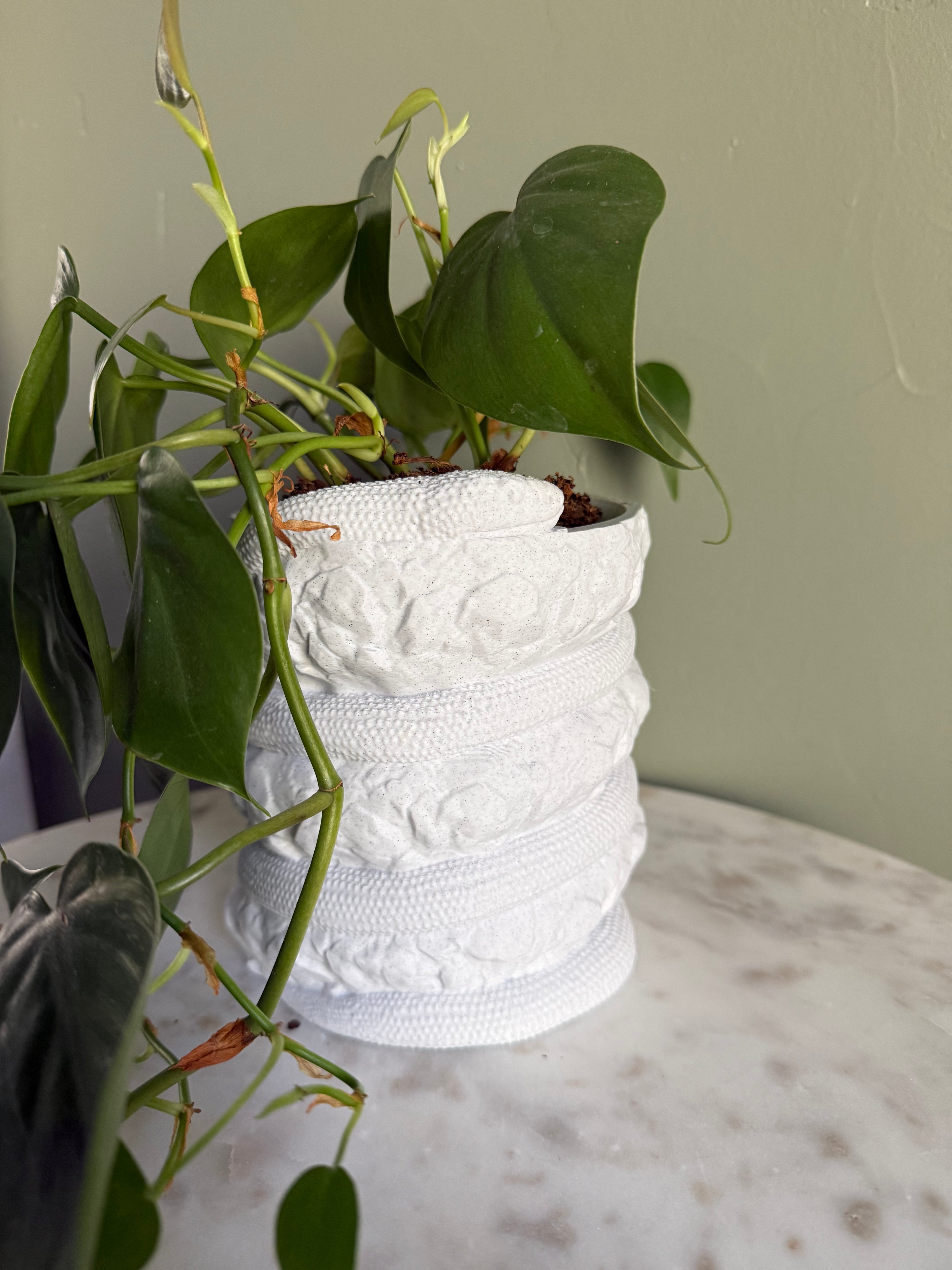 Snake Planter