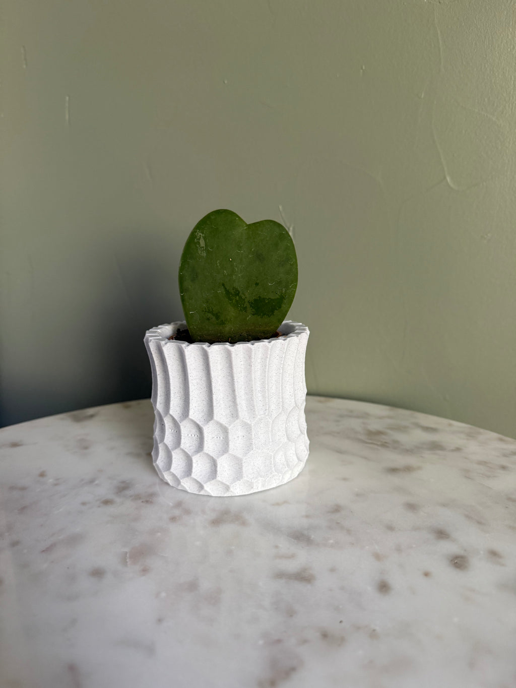 Little Gothic Planter