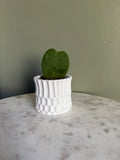 Little Gothic Planter