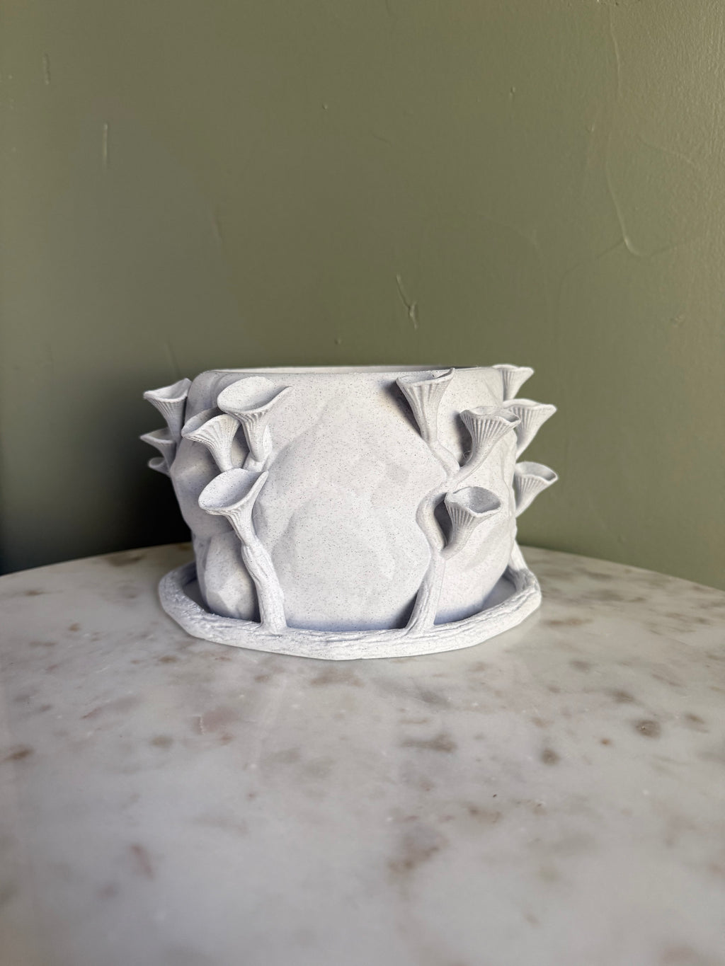 Mushroom Planter