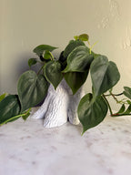 Tree of Life Planter