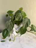 Heart in your Hand Planter