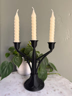 Elegant Candelabra