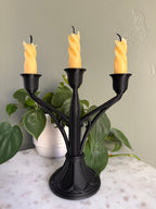 Elegant Candelabra
