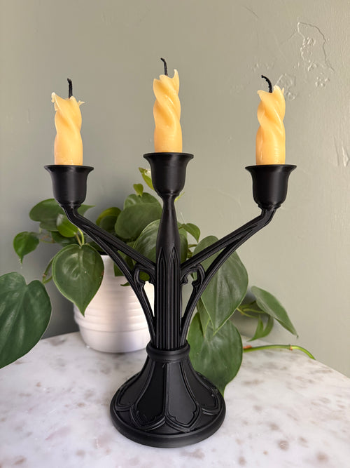 Elegant Candelabra