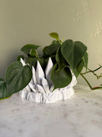 Crystal Planter
