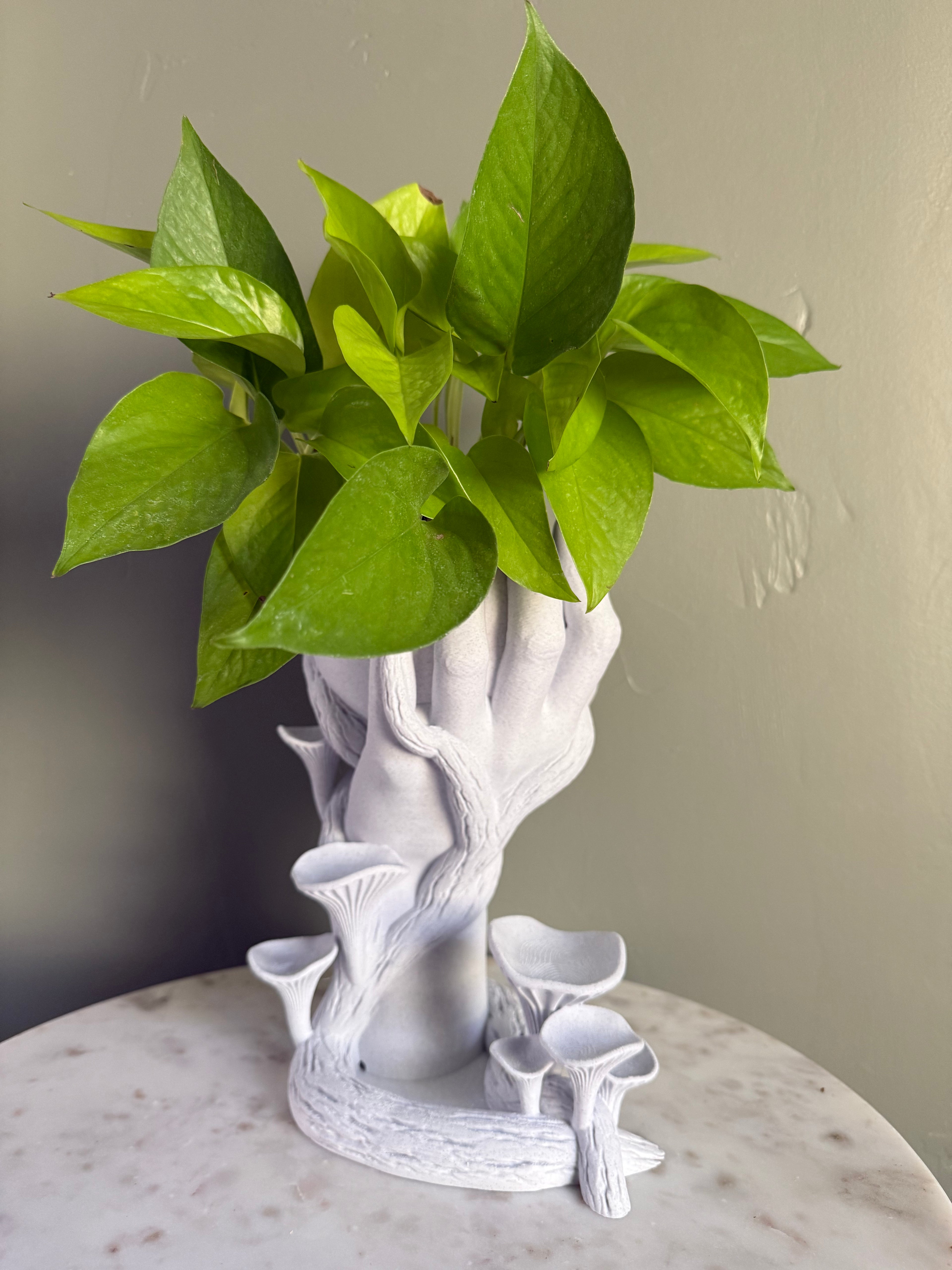 Hand of Gaia Planter